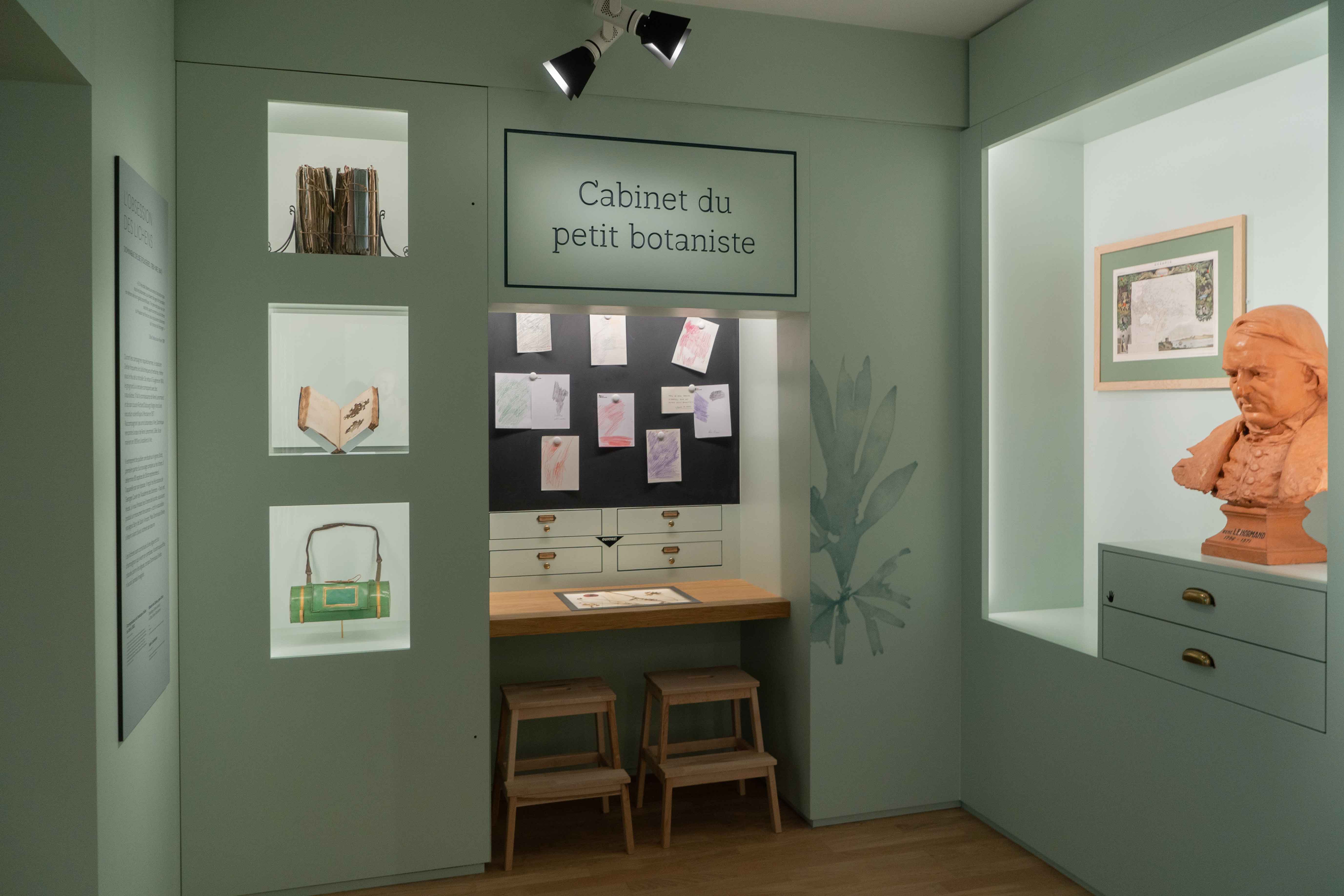 Cabinet du petit botaniste