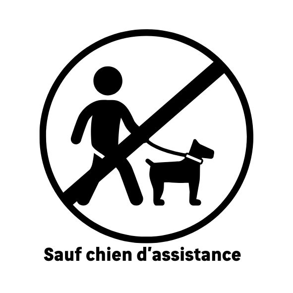 Chien interdit