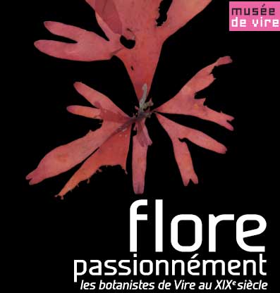 Flore passionnément. Les botanistes de Vire au XIXe siècle